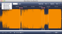 Split MP3 on Mac