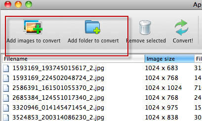 nef to jpg converter pc software