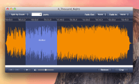 Crop and Remove MP3 Audio